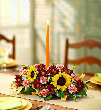 Fields of Europe&trade; for Fall Centerpiece
