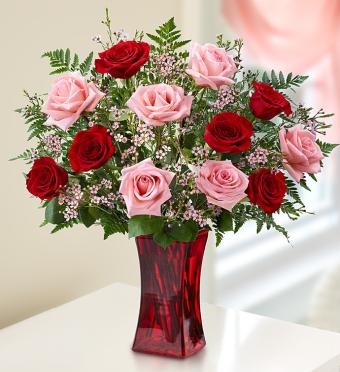Pink and Red Premium Long Stem Roses