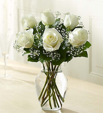 Love\'s Embrace™ Roses – White