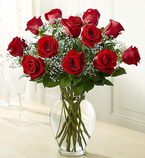 Rose Eleganceâ?¢ Premium Long Stem Red Roses